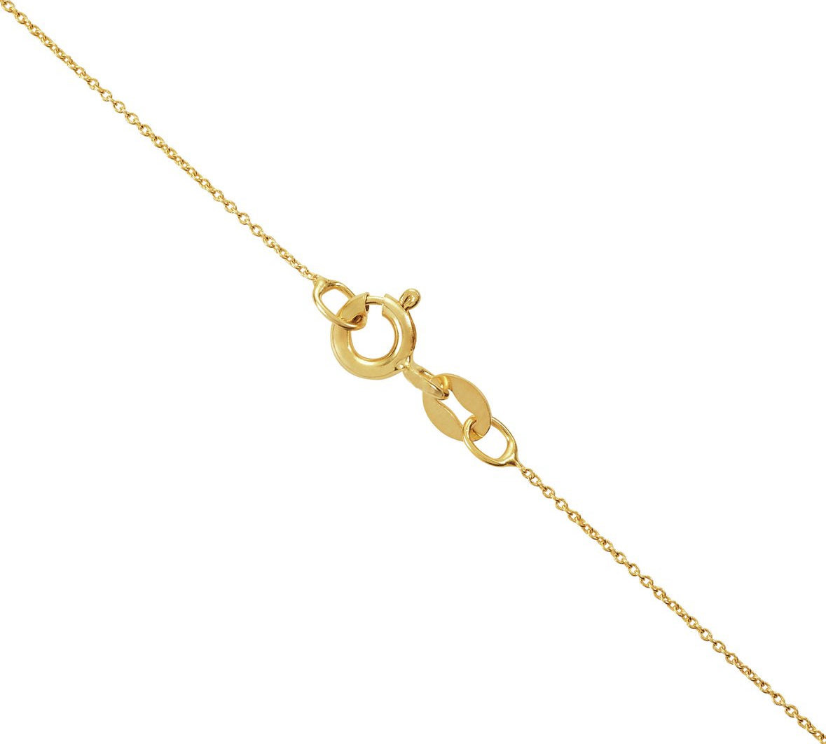 9ct Gold with Red Ruby Heart Necklace